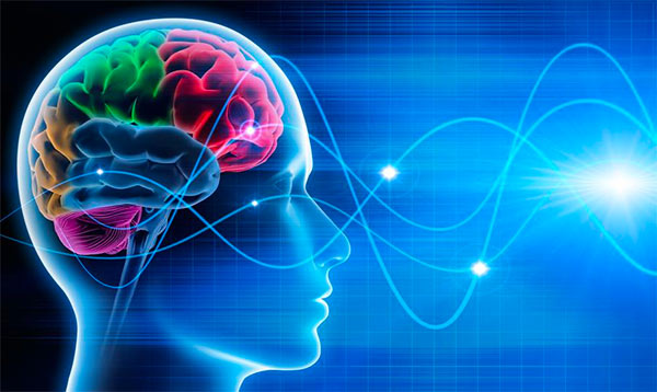ciencia-mindfulness Mindfulness para empresas Barcelona