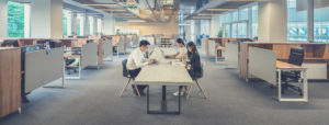 Entitats, organitzacions i empreses